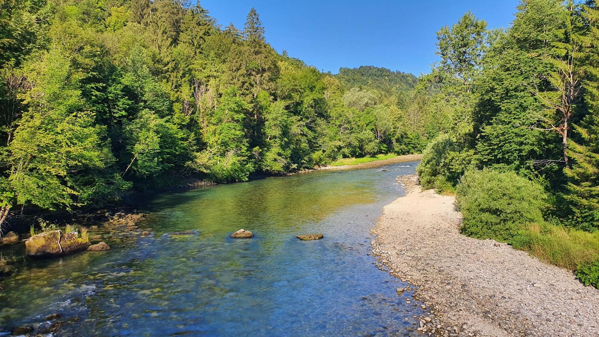 Eco River Camp - Pitches Radovljica Ngoại thất bức ảnh